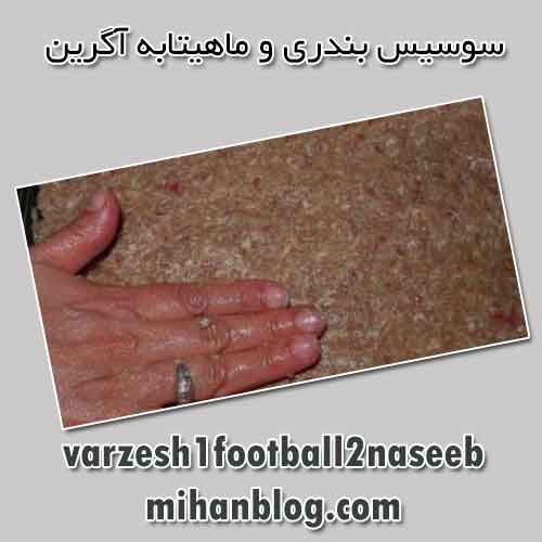ماهیتابه آگرین