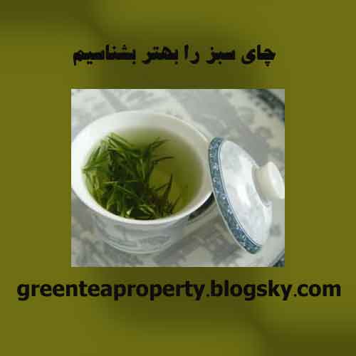 چای سبز