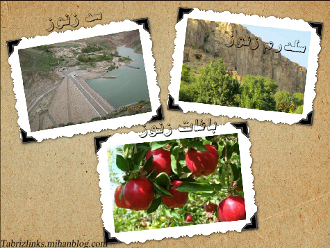 زنوز
