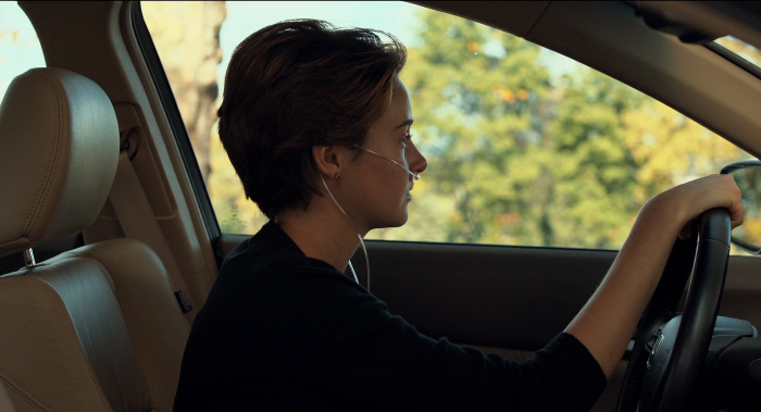 The_Fault_in_Our_Stars_Snapshot.png