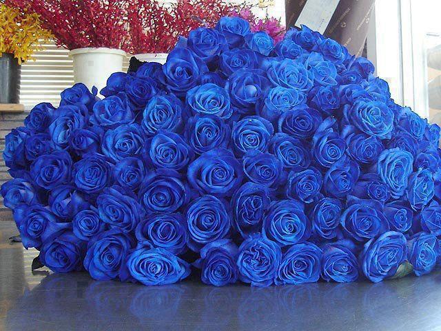 Beautiful_bunceh_of_blue_roses.jpg