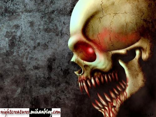عکس_و_والپیپر_اسکلت_فانتزی_www_nightcreatures_mihanblog_com20.jpg (500×375)