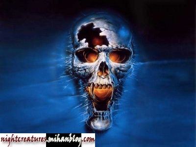 عکس_و_والپیپر_اسکلت_فانتزی_www_nightcreatures_mihanblog_com21.jpg (400×300)