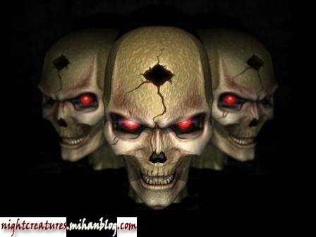 عکس_و_والپیپر_اسکلت_فانتزی_www_nightcreatures_mihanblog_com22.jpg (448×336)