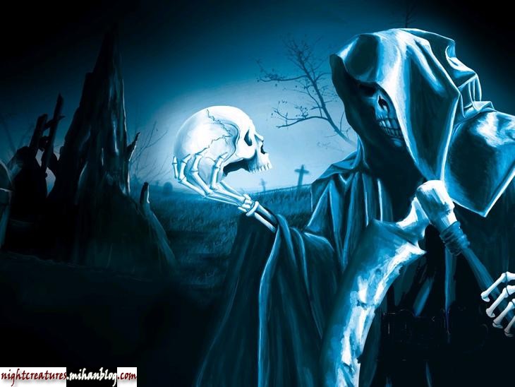 عکس_و_والپیپر_اسکلت_فانتزی_www_nightcreatures_mihanblog_com23.jpg (730×548)