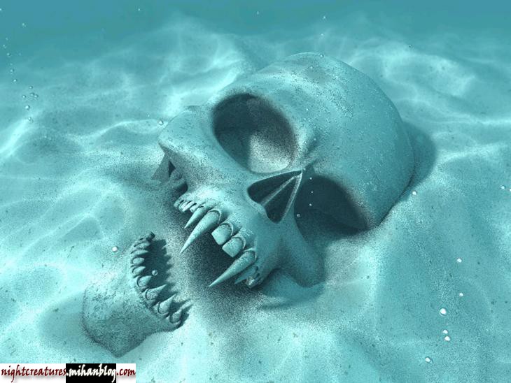 عکس_و_والپیپر_اسکلت_فانتزی_www_nightcreatures_mihanblog_com24.jpg (730×548)