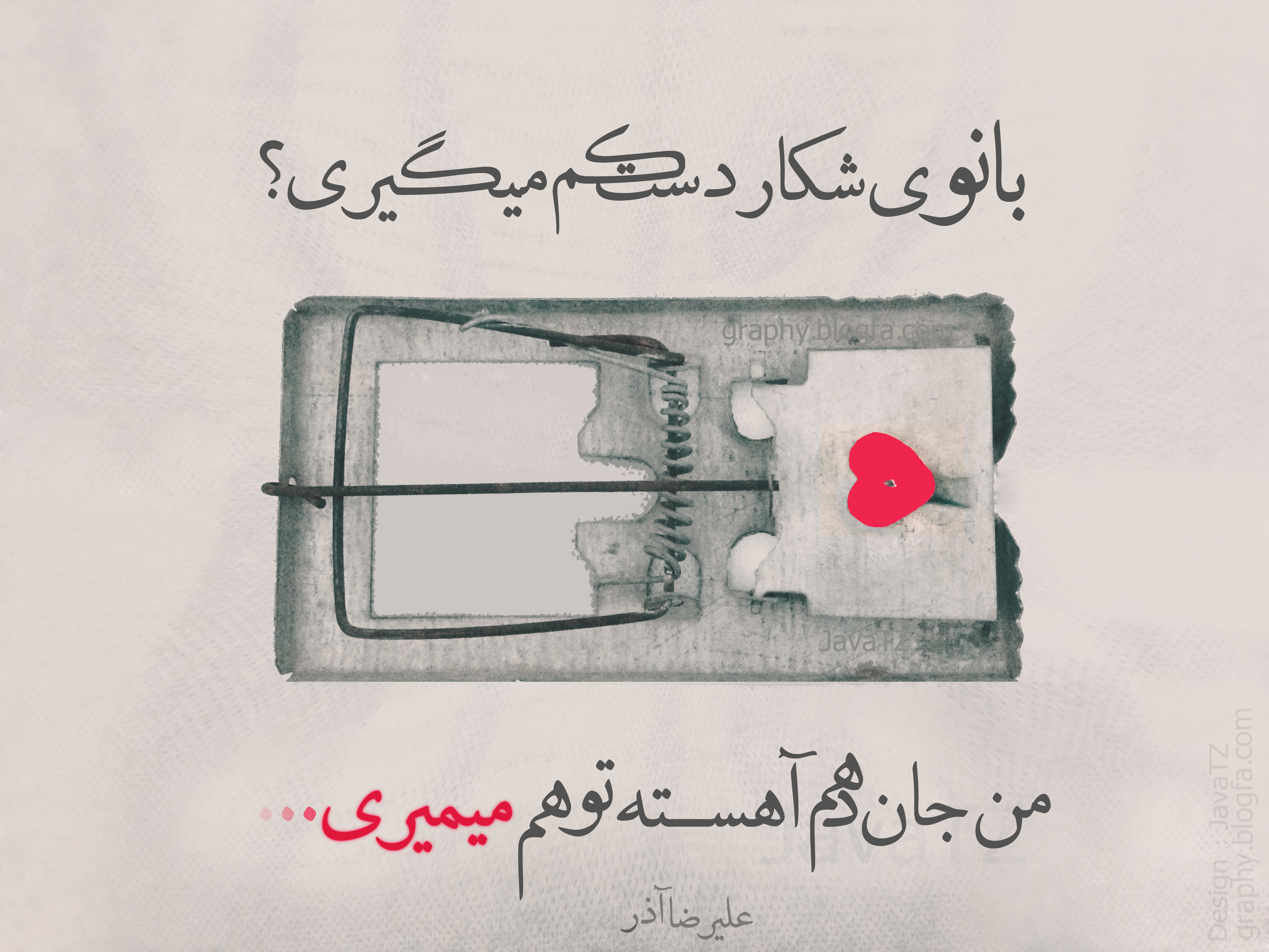 نمایش اندازه اصلی
