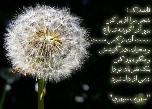 Image result for u202bشعر <a href='http://ghasedakmehr2o.niloblog.com/p/4/'>قاصدک</a> سهراب سپهریu202c