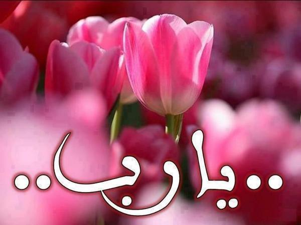 youloco_ir_1d1522865ef8aff711b90fc0b209ec1c_66188141www_youloco_ir.jpg