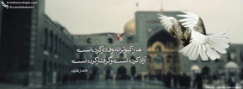 [تصویر: 1_9_.jpg]