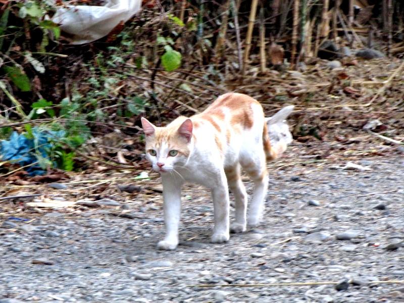 [تصویر: IMG_1744.JPG]