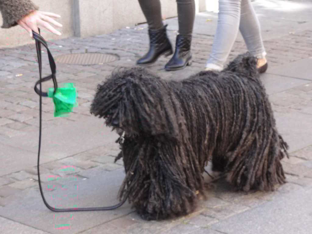 http://s5.picofile.com/file/8142517092/083.jpg