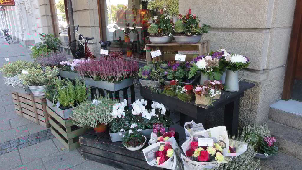 http://s5.picofile.com/file/8142517250/089.jpg