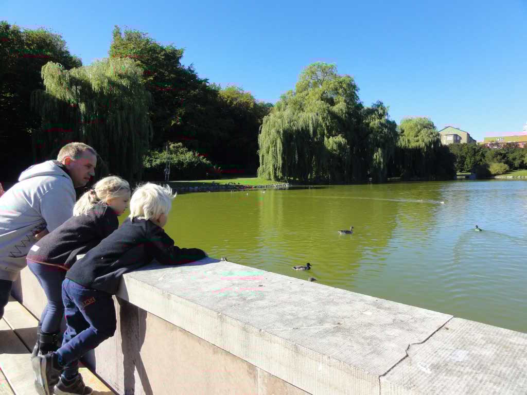 http://s5.picofile.com/file/8142517542/113.jpg