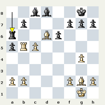 tseshkovsky mem 2014 sochi russia 2014.09.24 mikhail panarin vs aleksandr rakhmanov شطرنج وبلاگ سایت ایرج روزدار یادداشتهای شطرنج تفسیر بازی شطرنج iraj roozdar chess site weblog