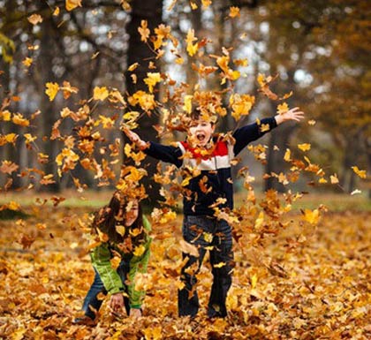 http://s5.picofile.com/file/8142913626/Interesting_figures_in_Nature_Photography_Fall_Photos_1_.jpg