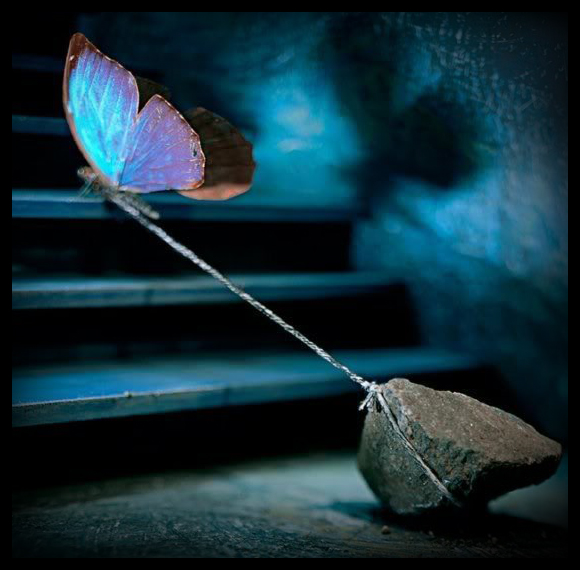 پرواز با پای بسته