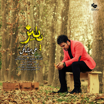 آهنگ جدید و بسیار زیبای علی عبدالمالکی بنام پاییز