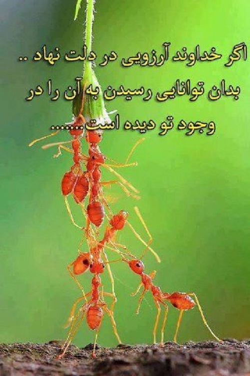 رسیدن به آرزو....