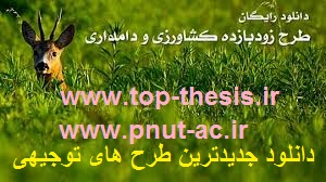 دانلود جدیدترین طرح های توجیهی جهت ارائه و دریافت وام