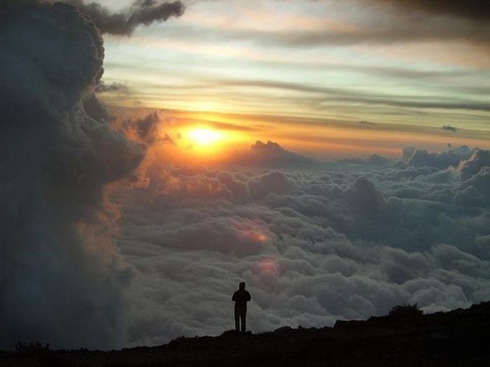 http://s5.picofile.com/file/8144572634/awesome_23.jpg