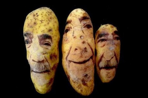 فتوگالری: چهره سازی با سیب زمینی فتوگالری: چهره سازی با سیب زمینی