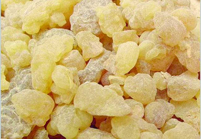 طب سنتی و گیاهان دارویی: ترمیم زخم پوست با این روغن طب سنتی و گیاهان دارویی: ترمیم زخم پوست با این روغن