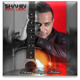 http://s5.picofile.com/file/8145358192/Shahin_Malek.png