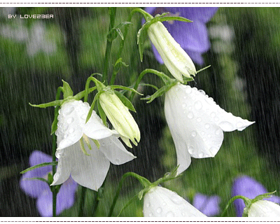 [تصویر: 1414605547.gif]