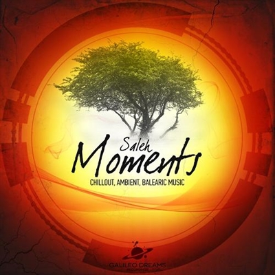 saleh_moments saleh_moments