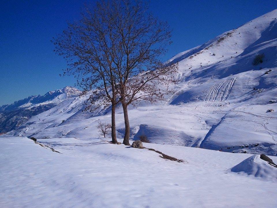 http://s5.picofile.com/file/8146320376/%D8%A8%D8%B1%D9%81_%D8%B3%D8%B1%D8%AE_%D8%A7%D8%A8%D8%A7%D8%AF.jpg