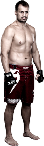 ))> پیش نمایش UFC 179 : Aldo vs. Mendes II <((