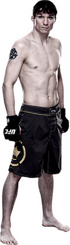 ))> پیش نمایش UFC 179 : Aldo vs. Mendes II <((