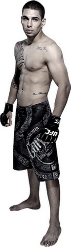 ))> نتایج رویداد UFC 179 : Aldo vs. Mendes II <((