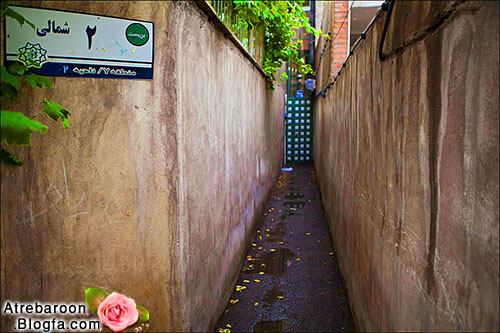 |http://www.atrebaroon.blogfa.com|عکس های عاشقانه|http://www.atrebaroon.blogfa.com|