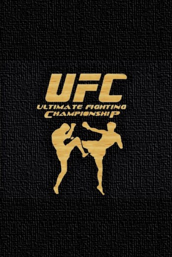 UFC Ultimate Knockouts | بهترین ناک اوت های UFC