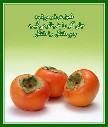 http://s5.picofile.com/file/8149012342/93k.jpg
