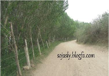 http://s5.picofile.com/file/8150592000/img_4489.jpg