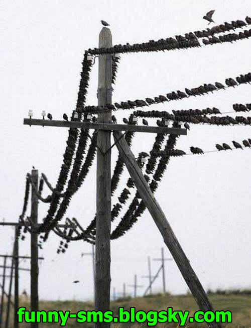 ع های خفن خنده دار http://ma anma an. /tag/%d8%b9%da%a9%d8%b3-%d9%87%d8%a7%db%8c-%d8%ae%d9%86%d8%af%d9%87-%d8%af%d8%a7%d8%b1