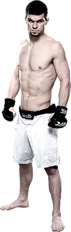 پیش نمایش ))> UFC Fight Night 57 : Edgar vs. Swanson  <((