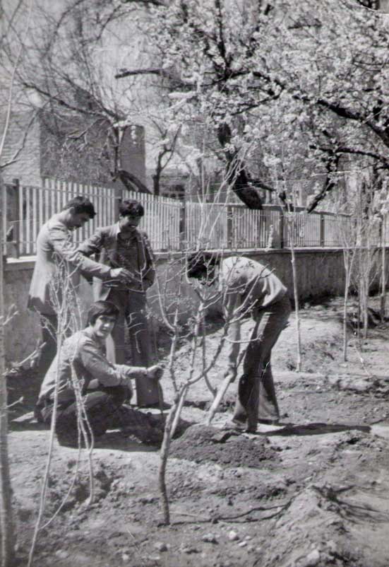 درختکاری در مدرسه آذر قاضی جهان - قبل از انقلاب 