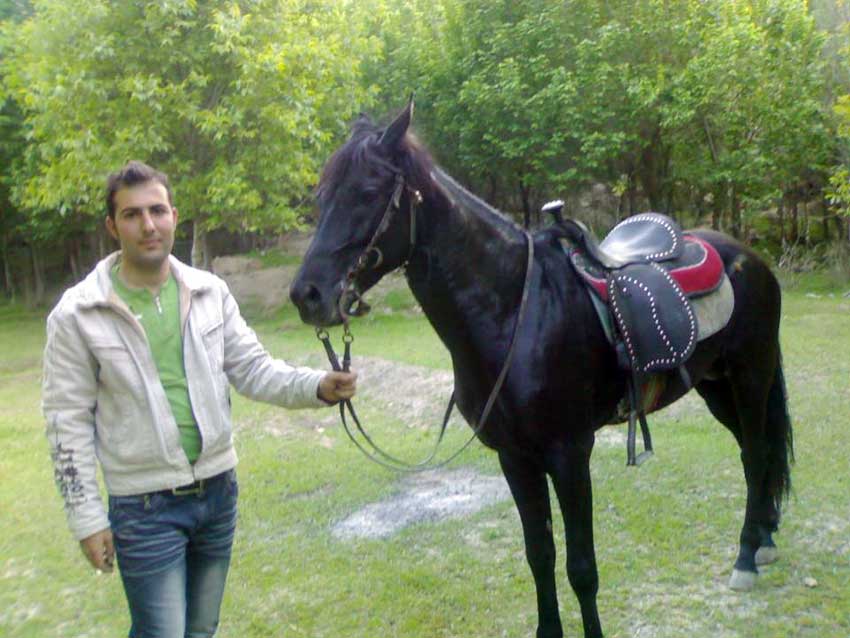 رامین محمدی از اسب سوران قاضی جهان  