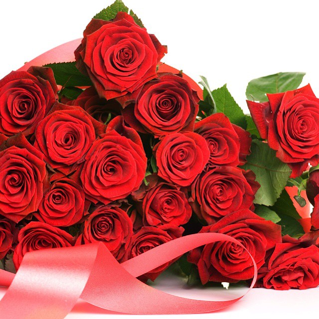 پست اینستاگرام حمیدعسکری گلهای قرمز