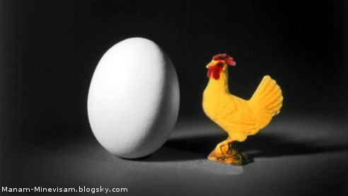 اطلاعاتی در مورد مرغ و صنعت مرغ داری که احتمالا نمیدوسنیتد