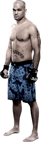 پیش نمایش ))> UFC 181 : Hendricks vs. Lawler <((
