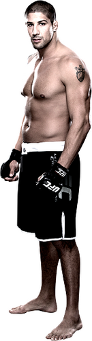 نتایج UFC 181 : Hendricks vs. Lawler