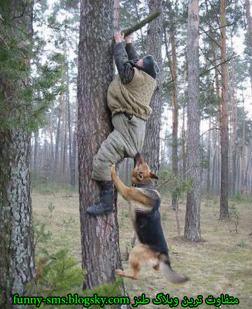 عکس های خنده دار و با مزهhttp://hot-picture.blogfa.com/category/1