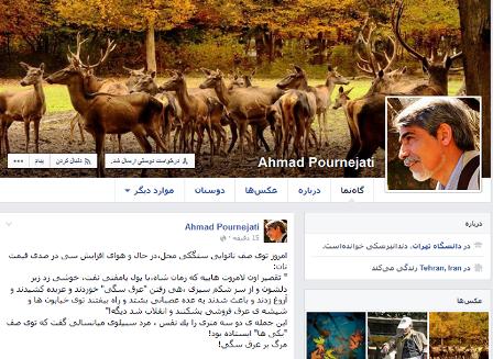 پور زنجاتی