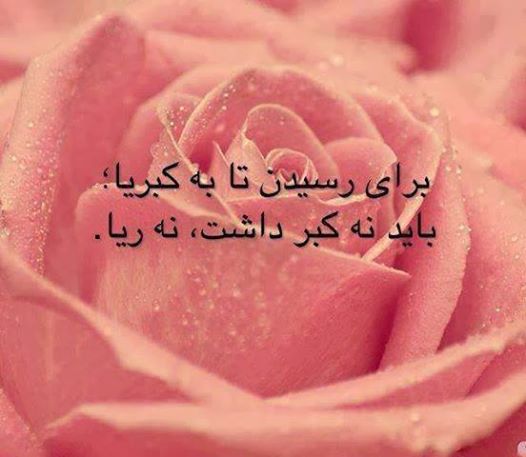 پاسخ به:جملات زیبا