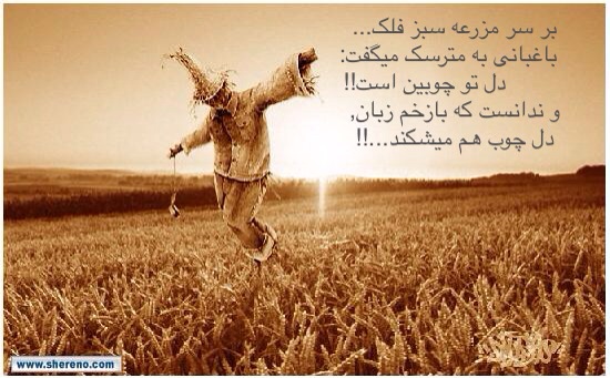 پاسخ به:جملات زیبا